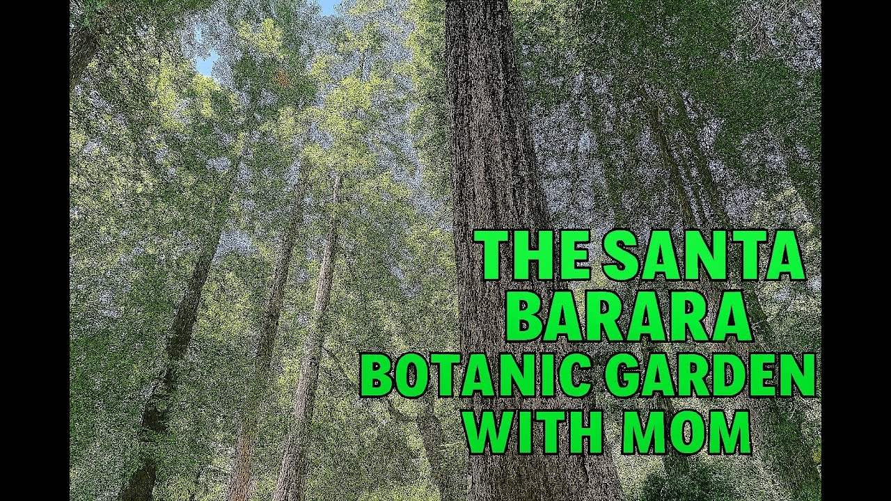 Santa Barbara Botanic Gardens with Mom   4K