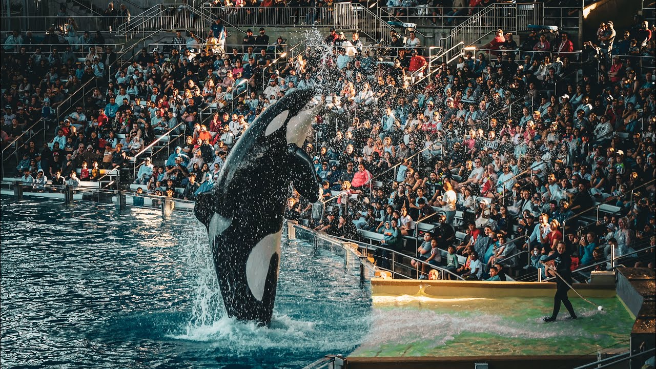 Seaworld Orlando 2025