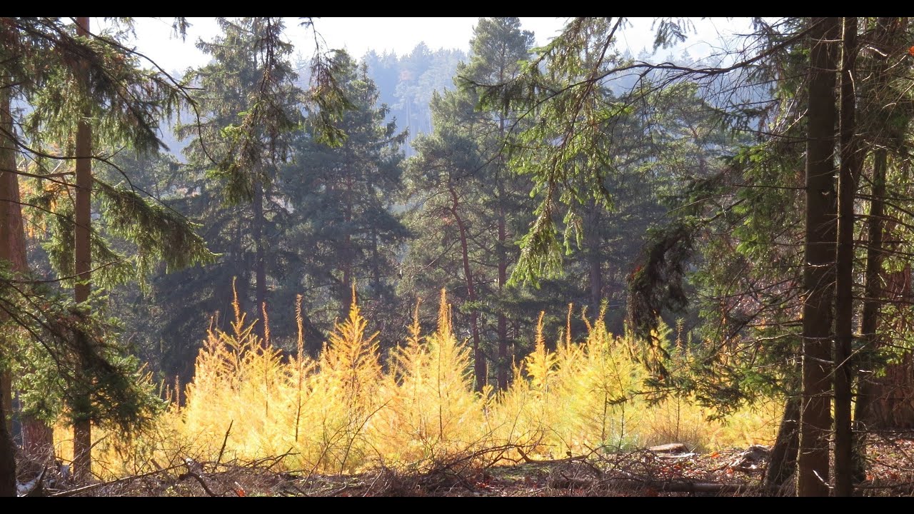 133.  Výlet na Vydřiducha