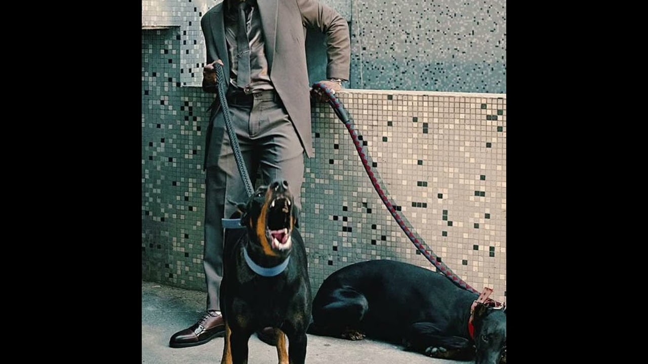 [FREE] LEON THOMAS X TY DOLLA $IGN TYPE BEAT I brighter days