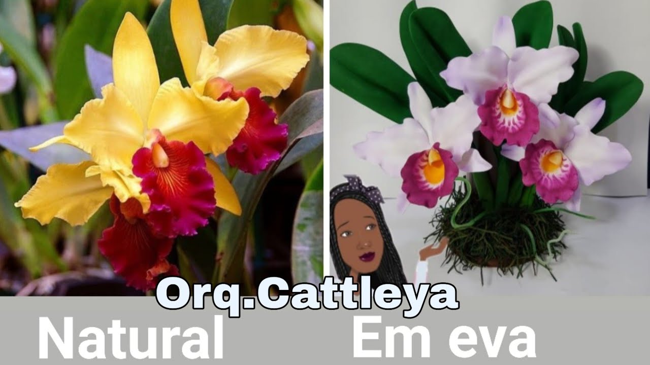 como fazer a catlleya em eva super fácil
