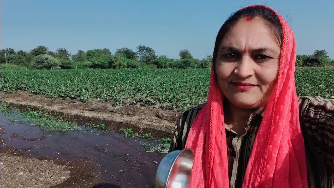 🙏બાપા સીતારામ 🙏 😀🌱બા આયા કેમ પાણી 😱જાય છે એટલૂ બધું 😱😂ભારે કરી વો 😂મેથી વાવી દીધી છે 🌱🌱😄