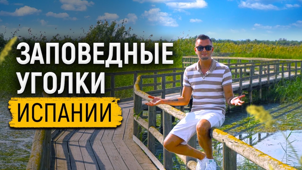 Заповедные уголки Испании. Птичий парк &ndash; Parque Natural El Hondo