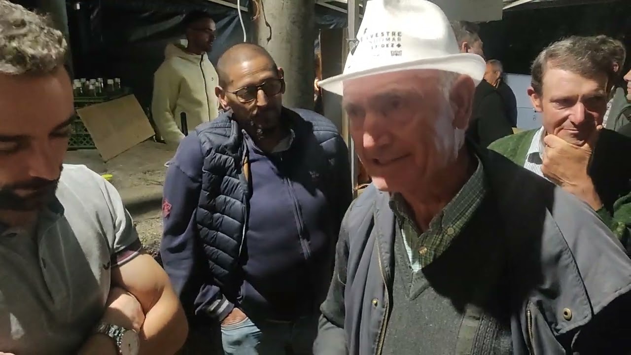 Cantares ao desafio com Adão e Marcelo - Festa de Friães 2024