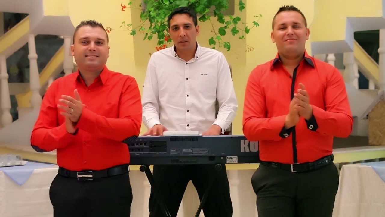 FRATII MITA DE LA BALS - HAI SA BEM SOFERII MEI - NEW HIT 2013