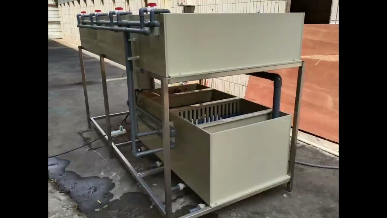 Tilapia catfish eggs incubator