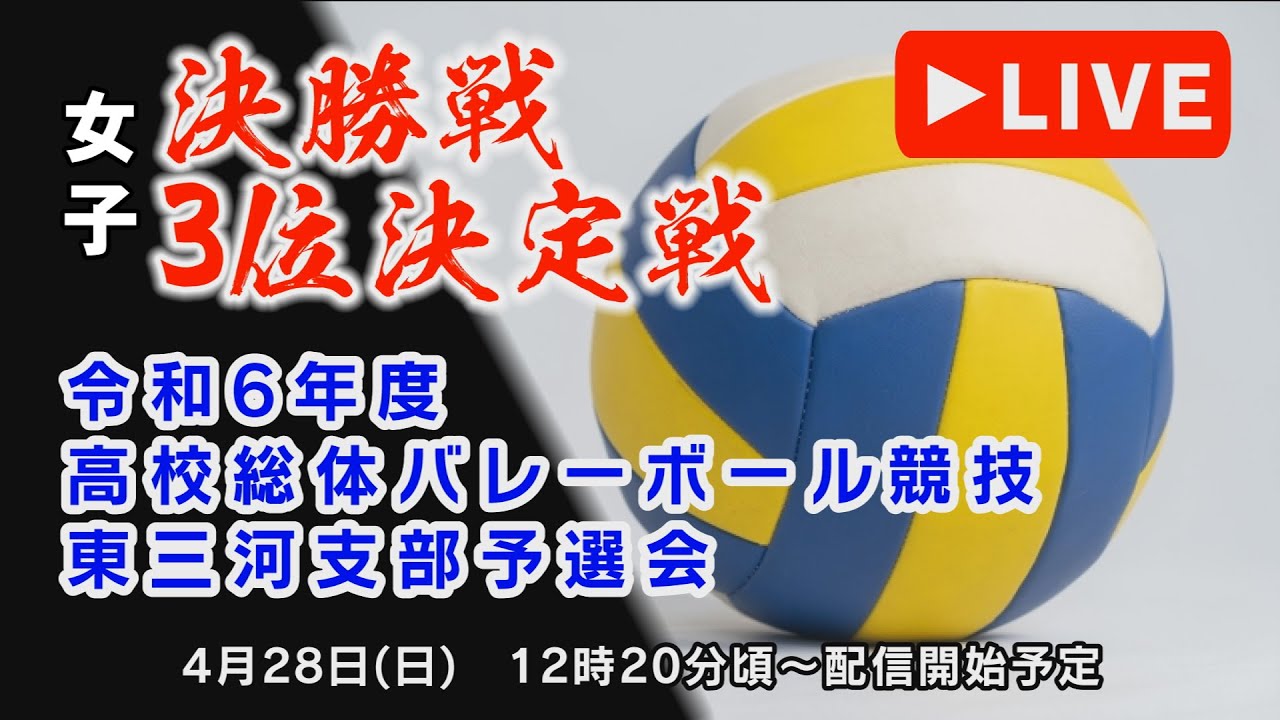 令和6年度　愛知県高等学校総合体育大会バレーボール競技東三河支部予選会（女子）