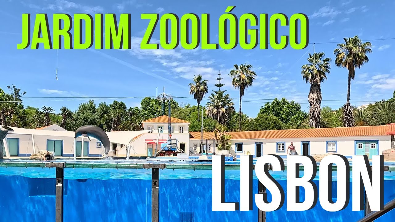 Jardim Zoológico ⁝ Zoológico de Lisboa ⁝ Dolphin show⁝ Lisbon Zoo🦋
