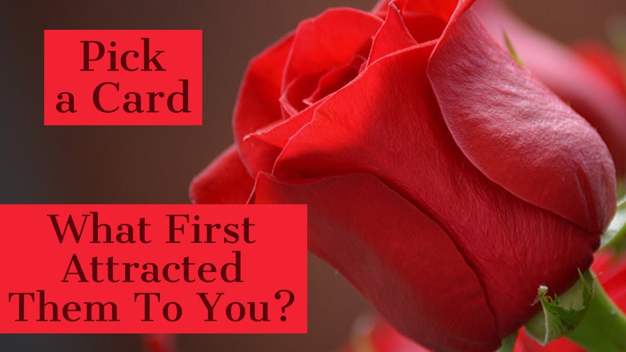 Pick a Card - What First Attracted Them To You? Love, Soulmates & Twin Flame - Yes/No Coin Flip