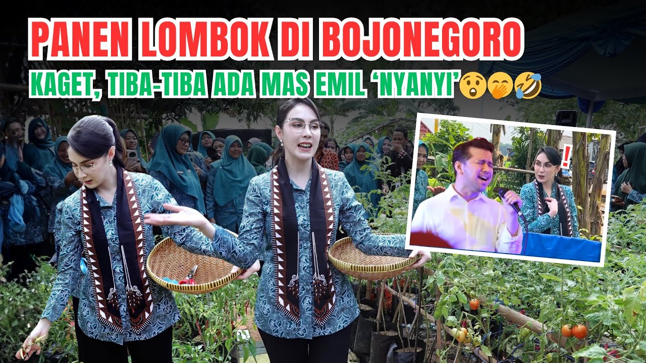 PANEN LOMBOK DI BOJONEGORO BARENG IBU-IBU PKK. SERU! | Arumi Bachsin