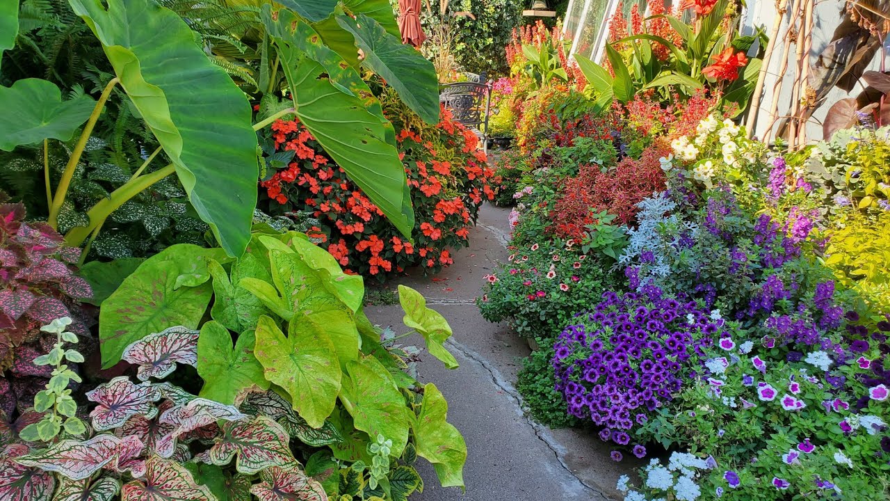 This is October in Minnesota?? Full Container Garden Tour, Zone 5a