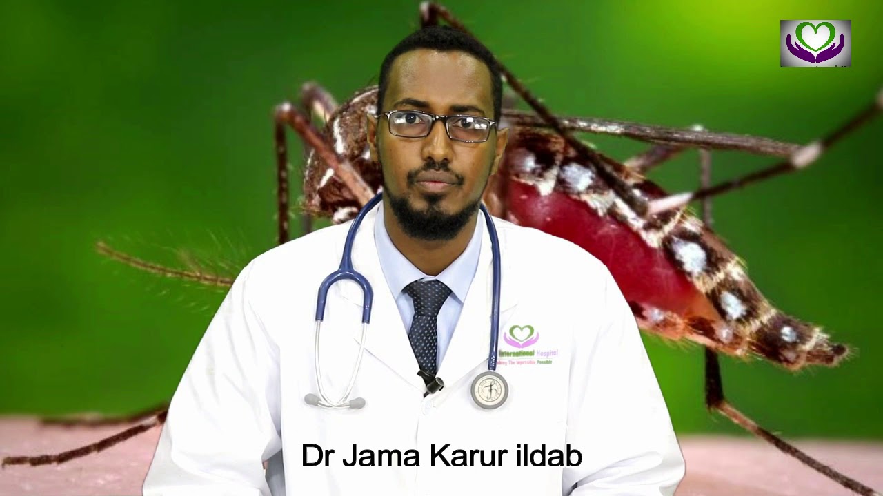 Cudurka malaariyada-Dr jama ildab