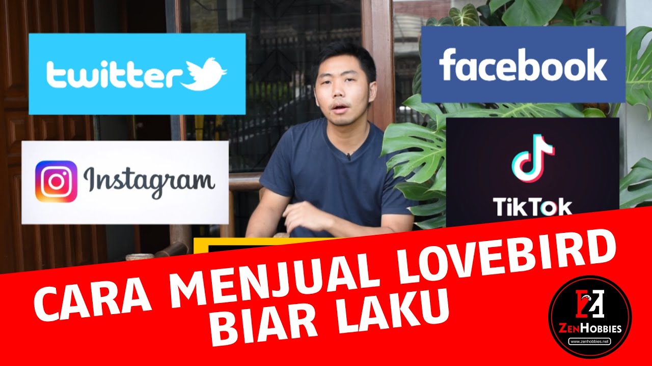 Cara menjual lovebird biar laku