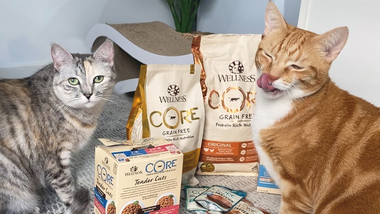 Удивляю своих кошек обилием еды! Обзор корма для кошек Wellness &mdash; мы попробовали весь ассортимент!
