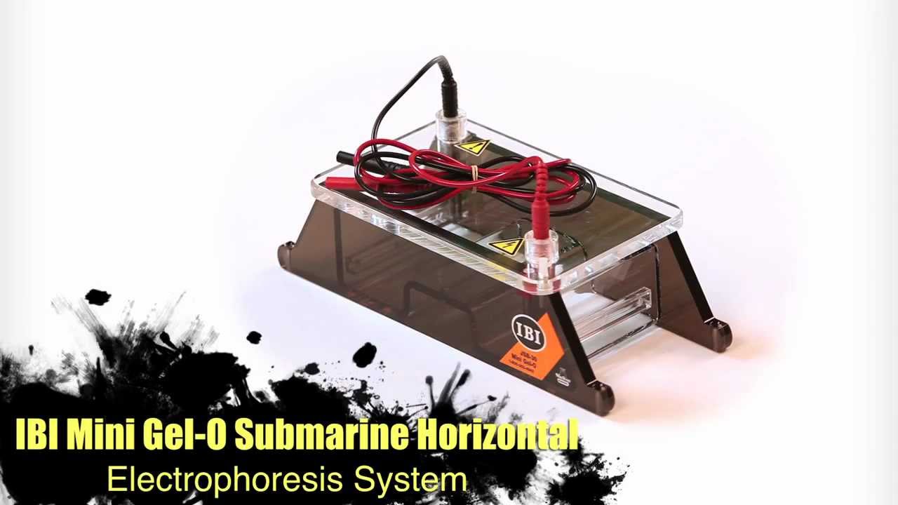 IBI Scientific Mini Gel-O Submarine Horizontal Electrophoresis System
