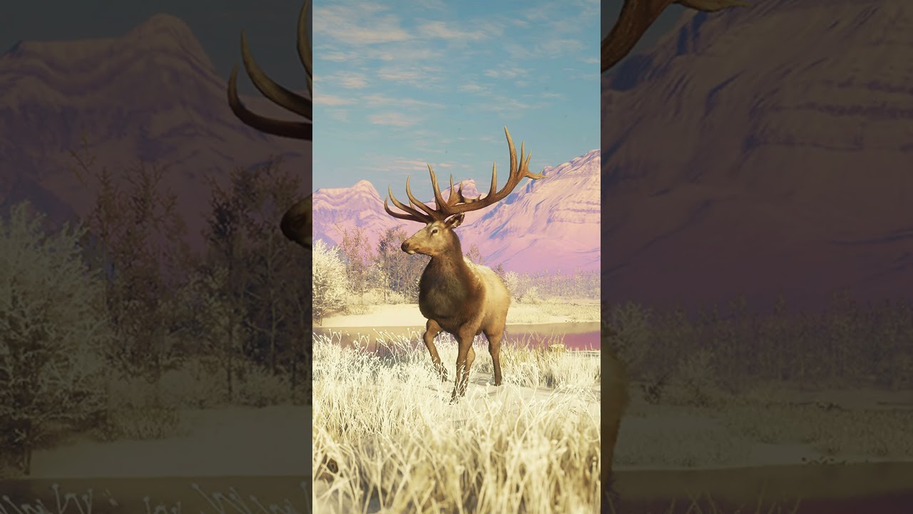 12 НОВЫХ ВИДОВ ОБНАРУЖЕНЫ НА НОВОЙ КАРТЕ АЛЬБЕРТЫ!!😲😱 #cotw #thehunter #thehuntercotw #callofthew...