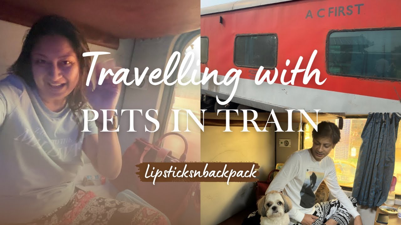 Travelling with Pets in Train #travel #travelvlog #pets #youtube #youtubevideo #youtubechannel