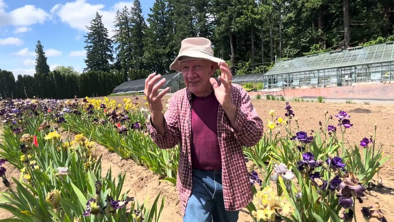 Just Irises Episode 42: “An Iris Journey with Hybridizer Legend Paul Black”
