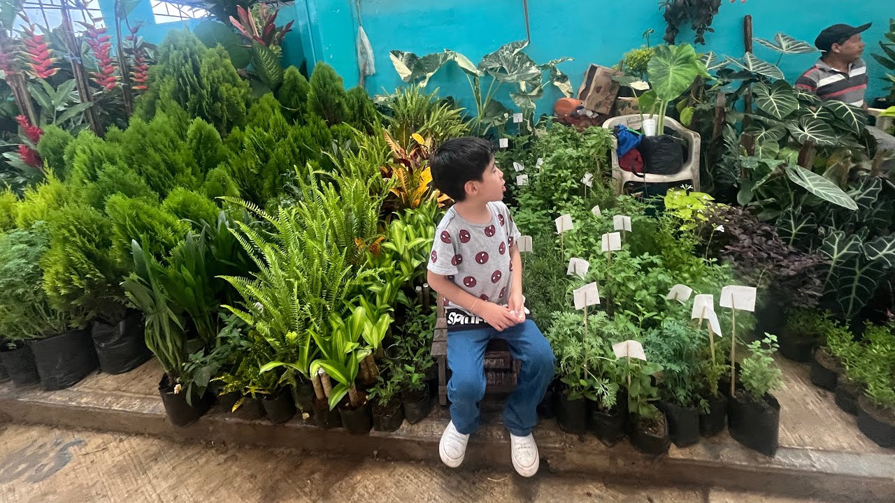 2da Parte del recorrido por el Nuevo Mercado de Plantad || Huauchinango Pue.  
