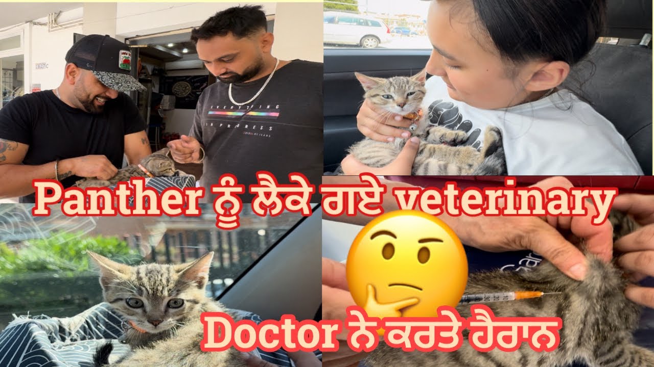 PANTHER ਨੂੰ ਲੈਕੇ ਗਏ VETERINARY😊DOCTOR ਨੇ ਕਰਤੇ ਹੈਰਾਨ🤔#dailyvlog #familyvlog #viral #trending