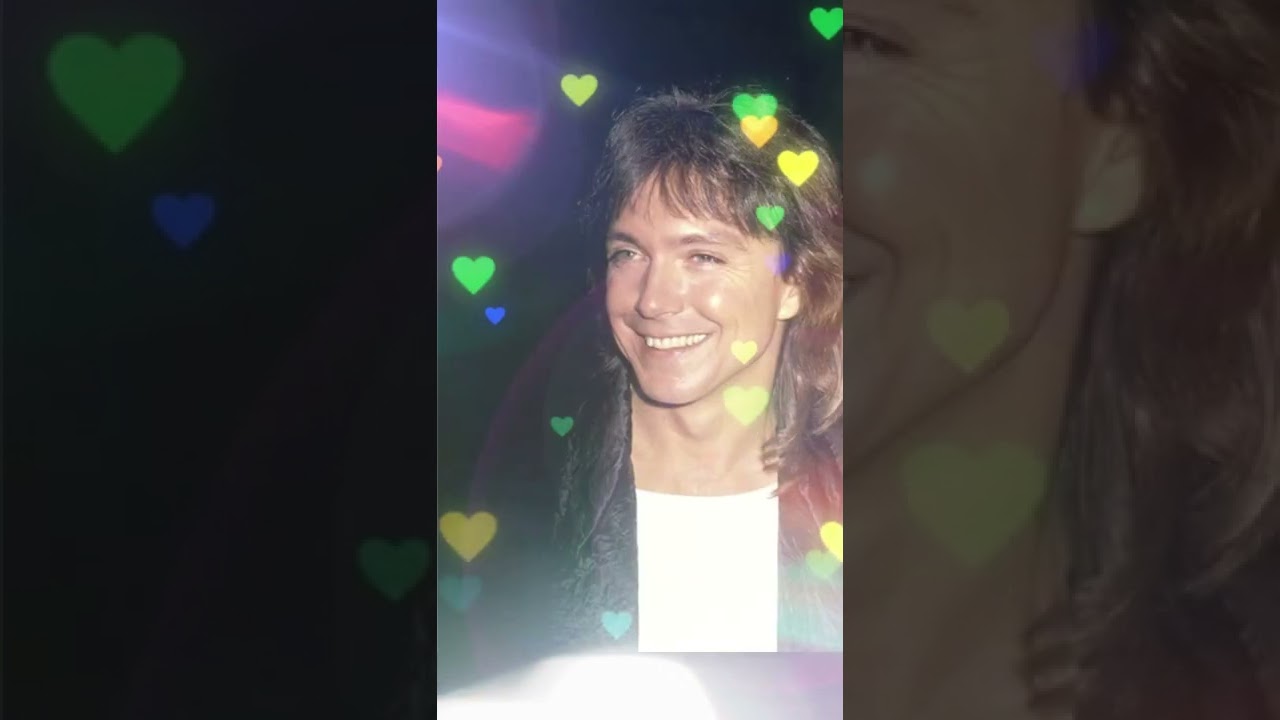 DAVID CASSIDY TRIBUTE-PRISONER