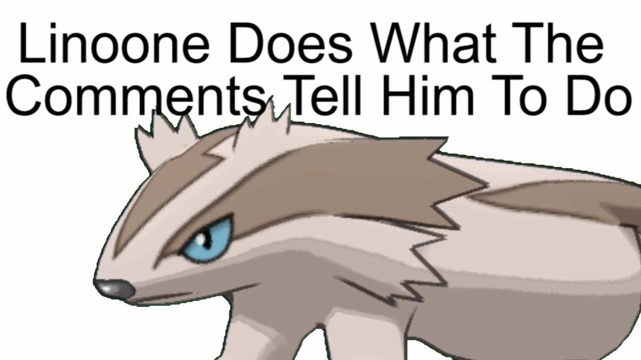 Linoone Does What the Comments Tell Him To Do