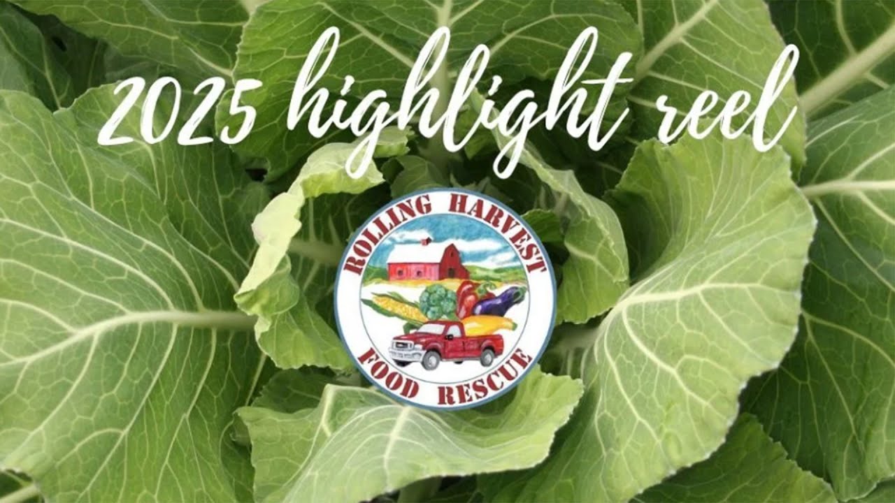 2025 Highlight Reel