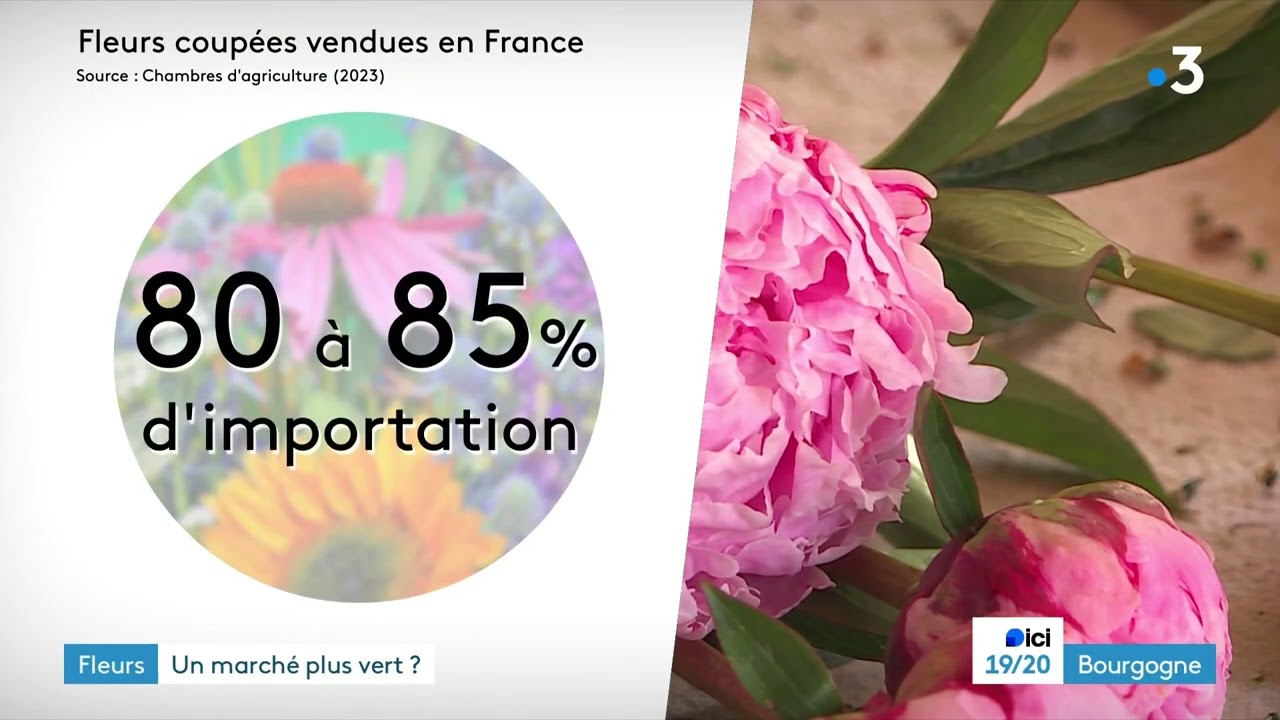 Le march&eacute; de la fleur fran&ccedil;aise : de plus en plus d'acteurs s'engagent en Bourgogne