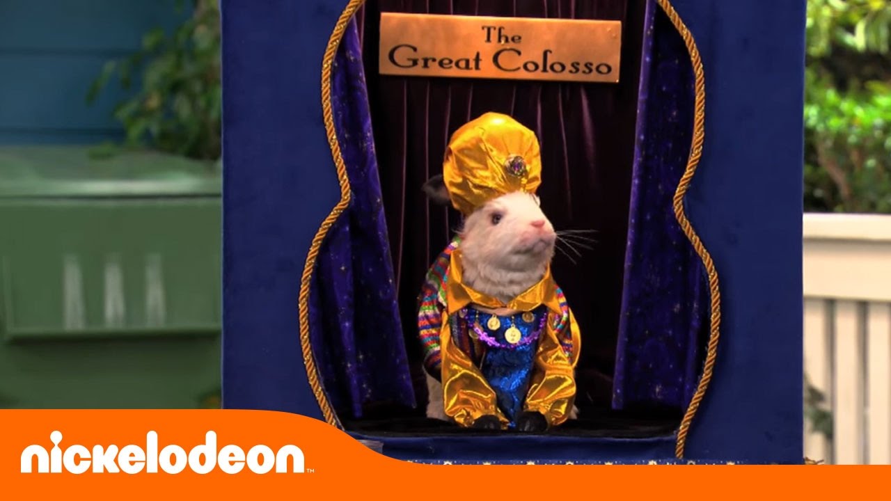 Los Thundermans | Colosso Vidente | Nickelodeon en Español