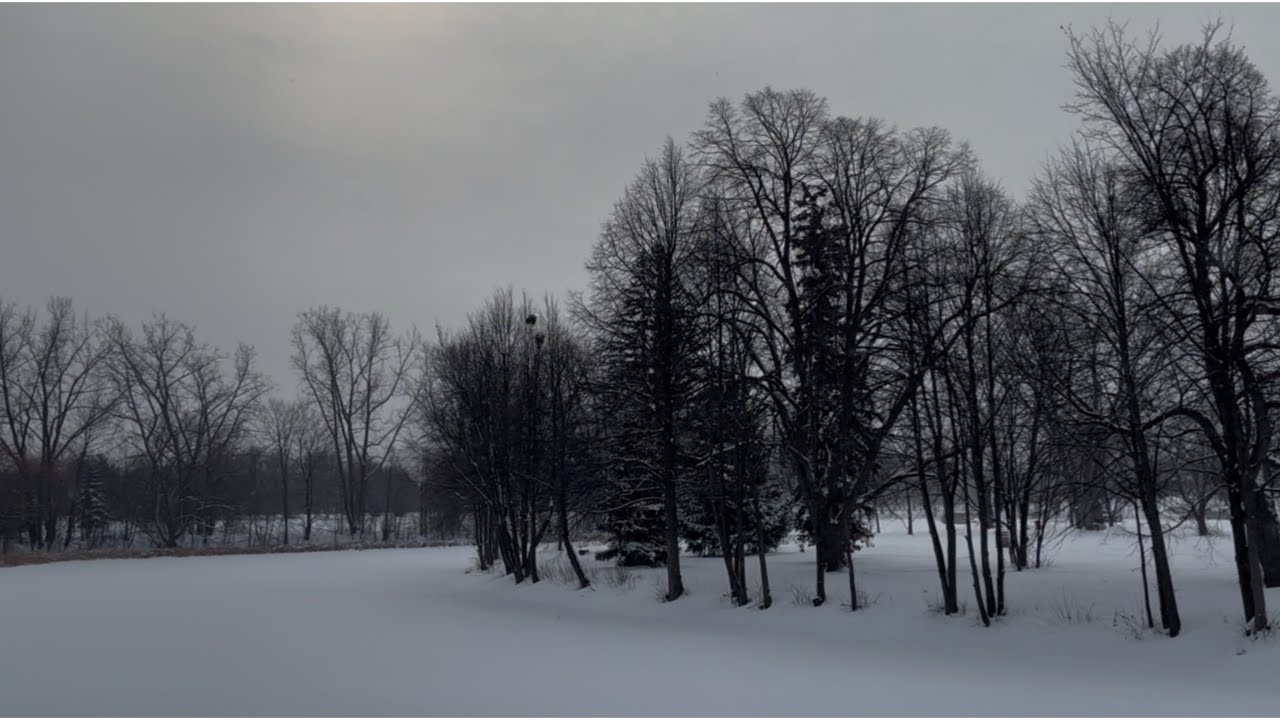 눈 내린 호수와 나무, 조용한 겨울 밤 | 힐링 음악과 함께하는 1시간 감성 영상 ❄️🌙