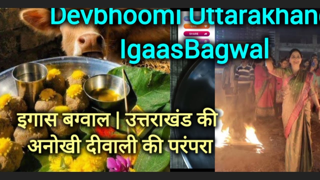 Devbhoomi Uttarakhand IgaasBagwal 2025 बुड़ी दीवाली इगास बग्वाल क्यों मनाई जाती है?