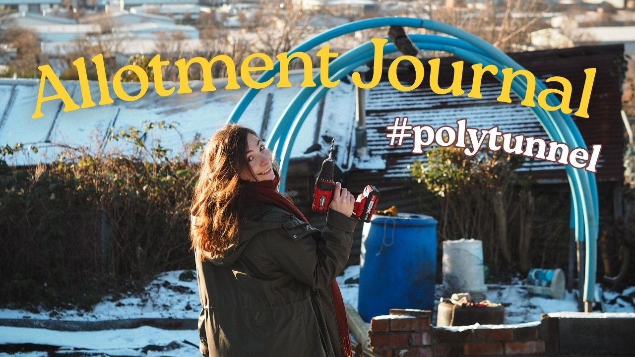 DIY Polytunnel Build & February Allotment Jobs | Ep.3