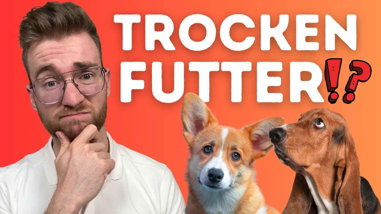 Ist Trockenfutter gut für Hunde⁉️🤔🐶