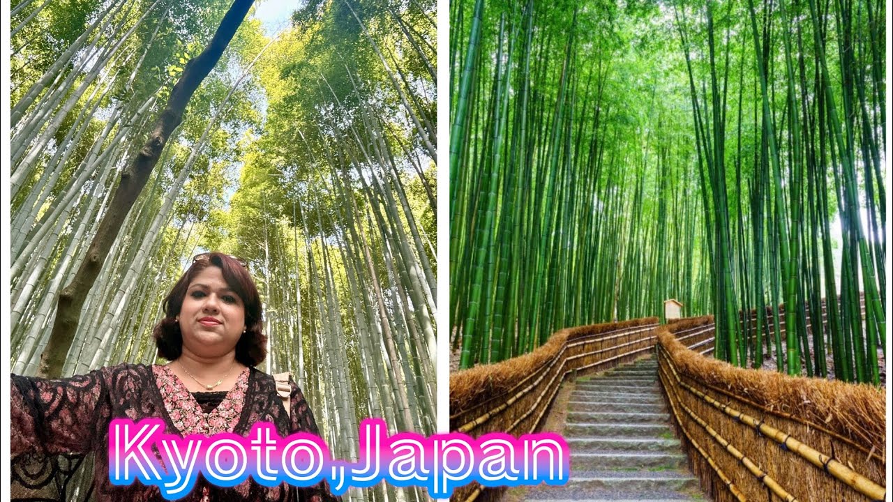 ARASHIYAMA BAMBOO FOREST- KYOTO, JAPAN 