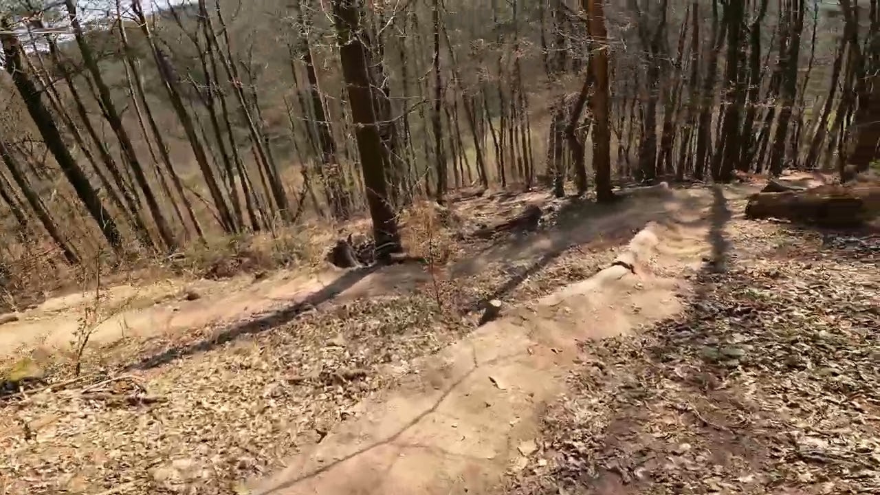 MTB Weisshauswald Trier (bikepark)
