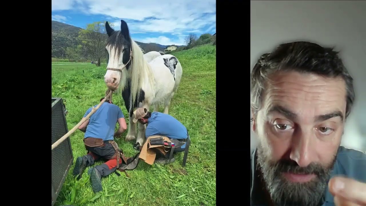Caballos descalzos, tecnología y pasión por el oficio