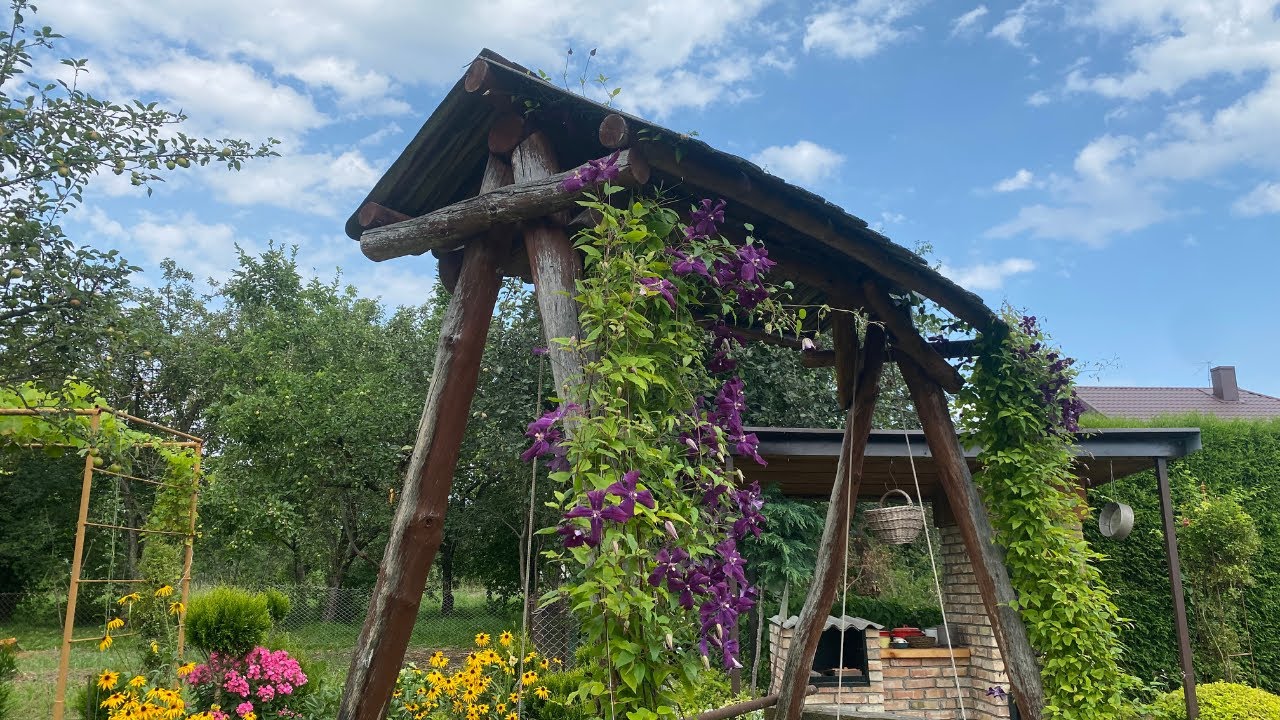 ПРОСТО НЕЗАМІННА в саду! ЛІАНА, яку Ви ЗОБОВ’ЯЗАНІ ПОСАДИТИ! 🌿