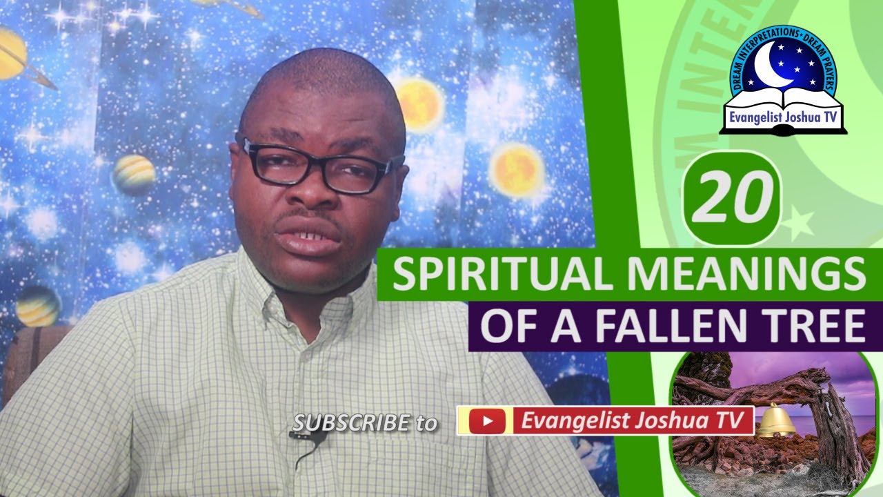 SPIRITUAL MEANING OF A FALLEN TREE - Biblical Meaning of Trees Dream