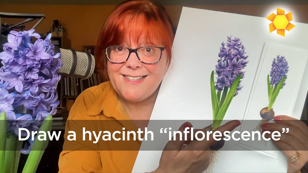 How to draw realistic hyacinth inflorescence in alcohol markers