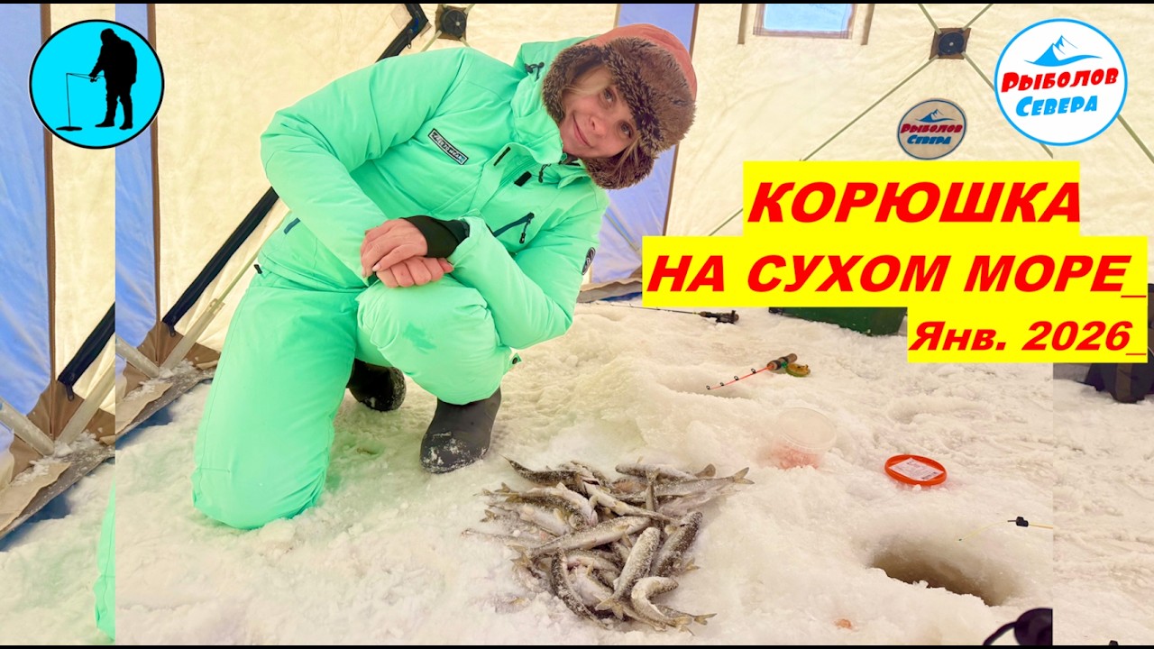 РЫБАЛКА НА КОРЮХА  2026 | Белое море | Сухое море #РыболовСевера #корюшка #Рыбалканасевере  4K60H