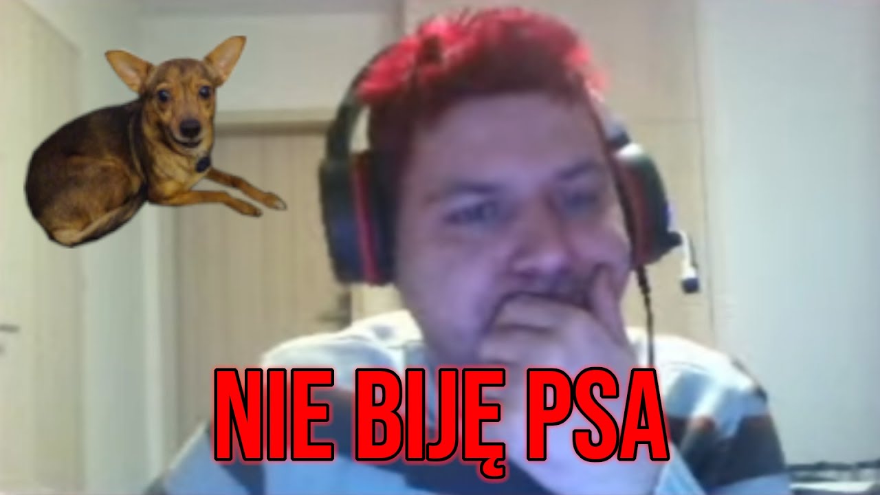 Dawid Jasper nie biję psa