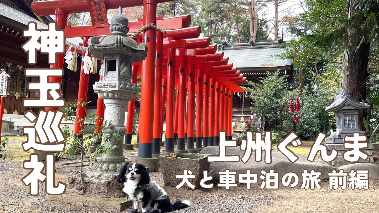 【犬と車中泊の旅】上州ぐんま神玉巡り車中泊の旅《前編》 神玉巡拝 / 上州神社巡拝 / 中之嶽神社 / 富士浅間神社 / 雄進神社 / 伊勢崎神社 / 前橋東照宮