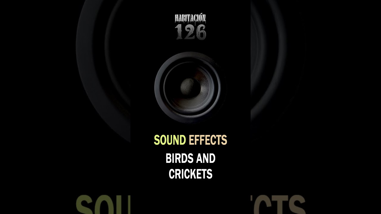 Birds and Crickets Sound Fx short 
