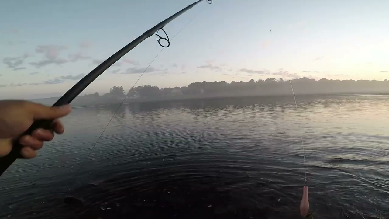 Topwater Hits – Cape Cod Canal