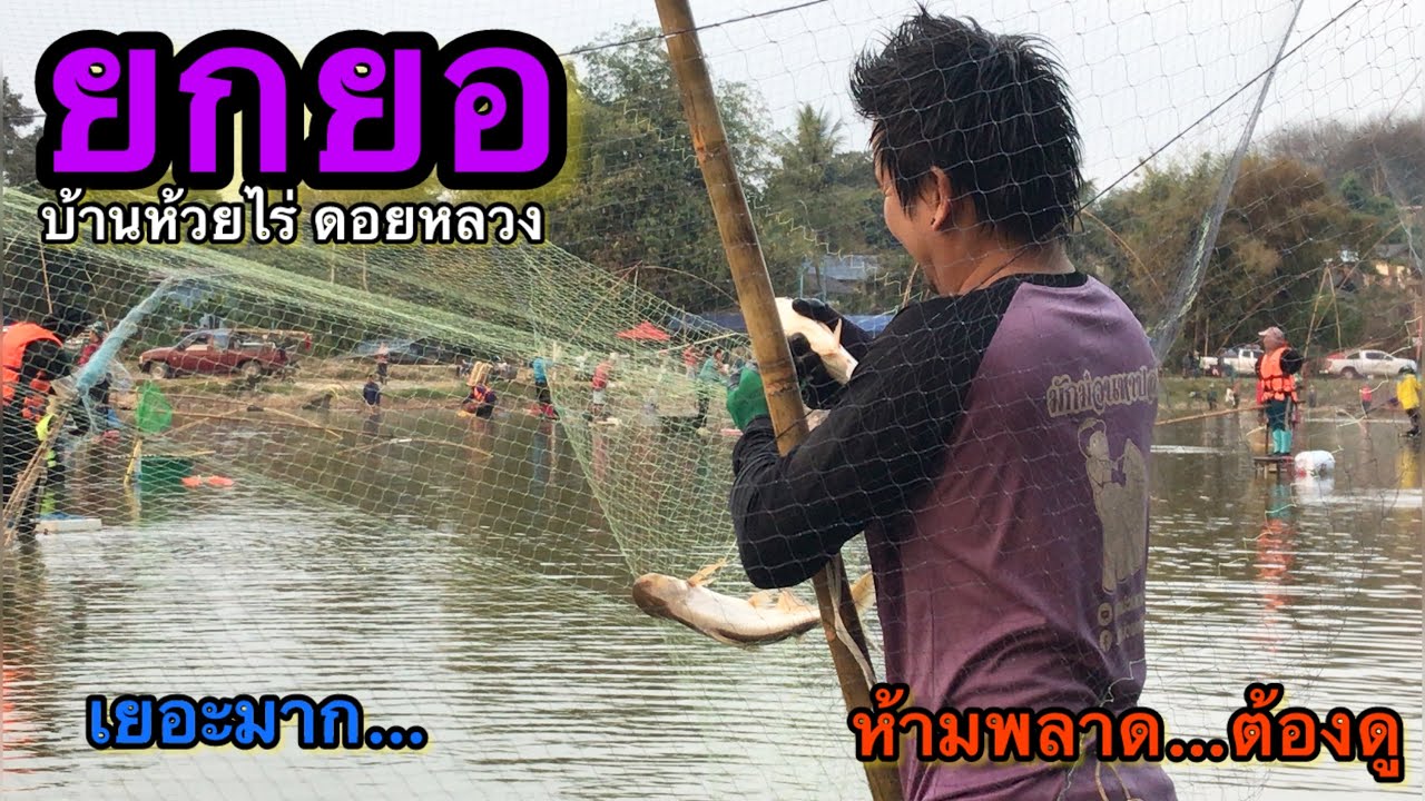 EP.151 ยกยอ หาปลา หนองบ้านห้วยไร่ ดอยหลวง บัตร 600 ไม่อยากจะเชื่อ….เยอะมาก !!!