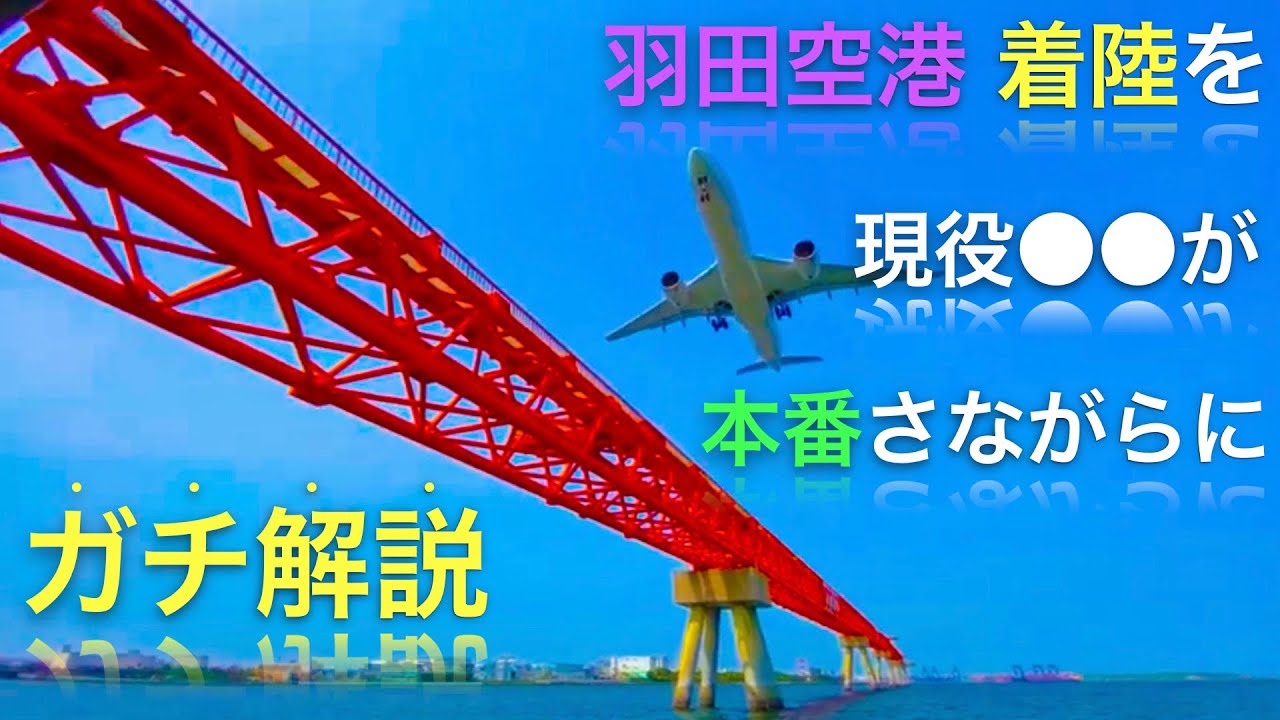 【ガチ解説_#01】羽田空港への着陸 (LDA22)