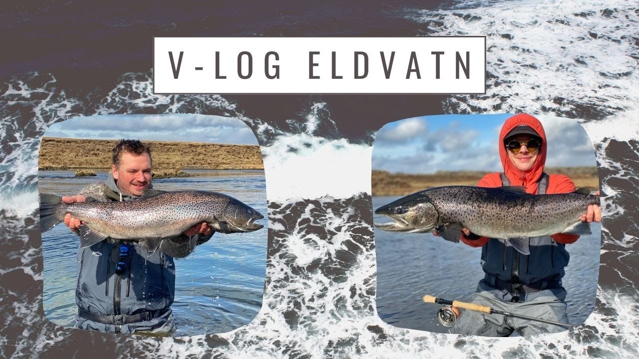 V-log úr Eldvatni í meðallandi vorið 2021