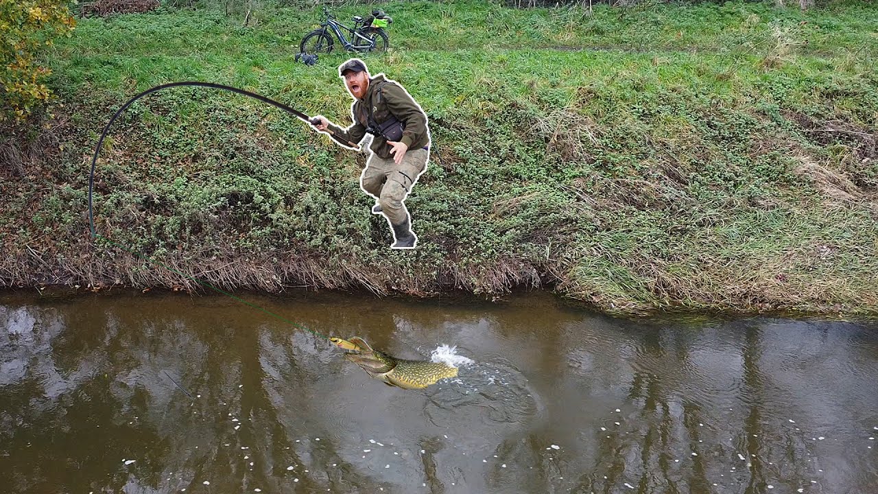 These Pike Were Destroying My Bait! Epic Drone Footage!