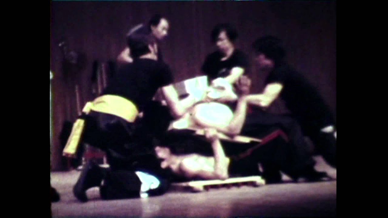Pui Chan: Kung Fu Pioneer