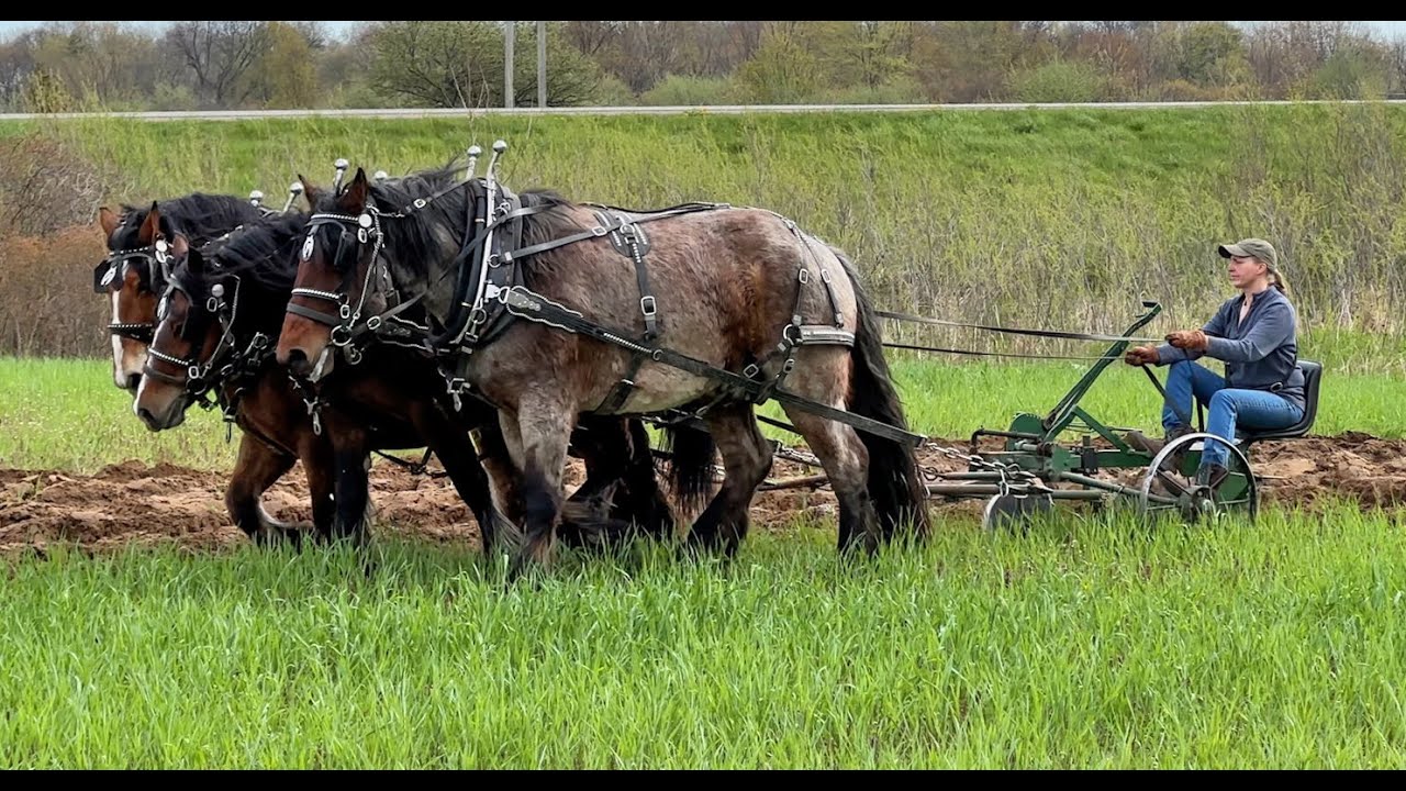 Brabants Кирка Бриггса на WMDC Plow Day